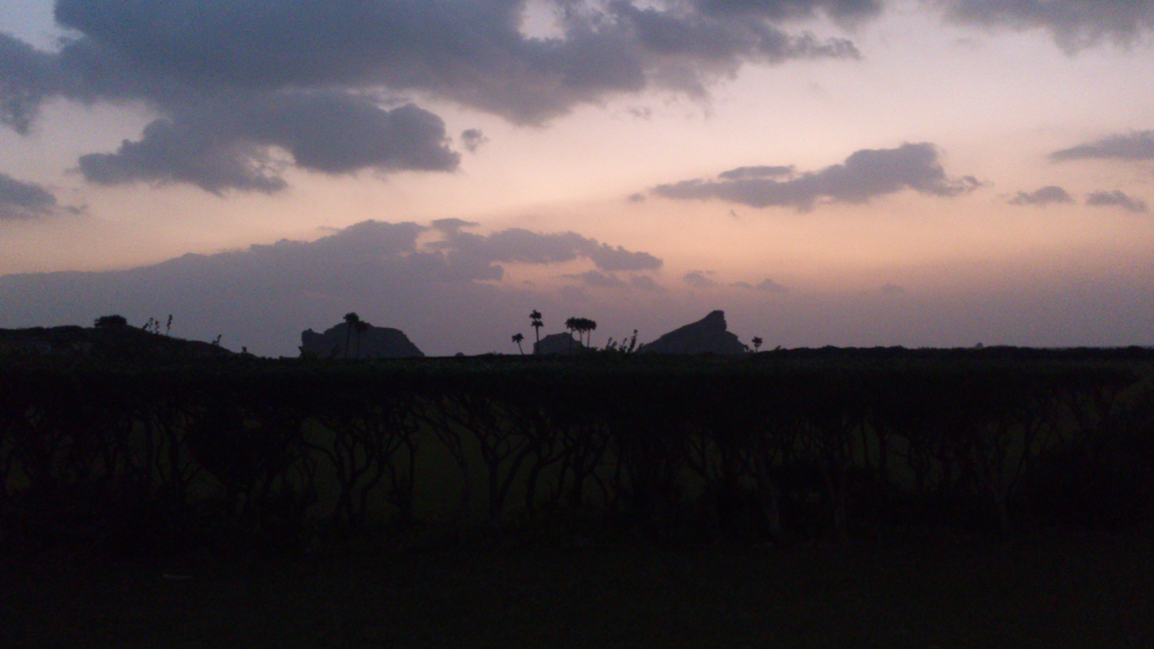 2012年12月。僕は種子島を一人で旅した：竹崎展望台で撮影したかは分からないが好きなショット