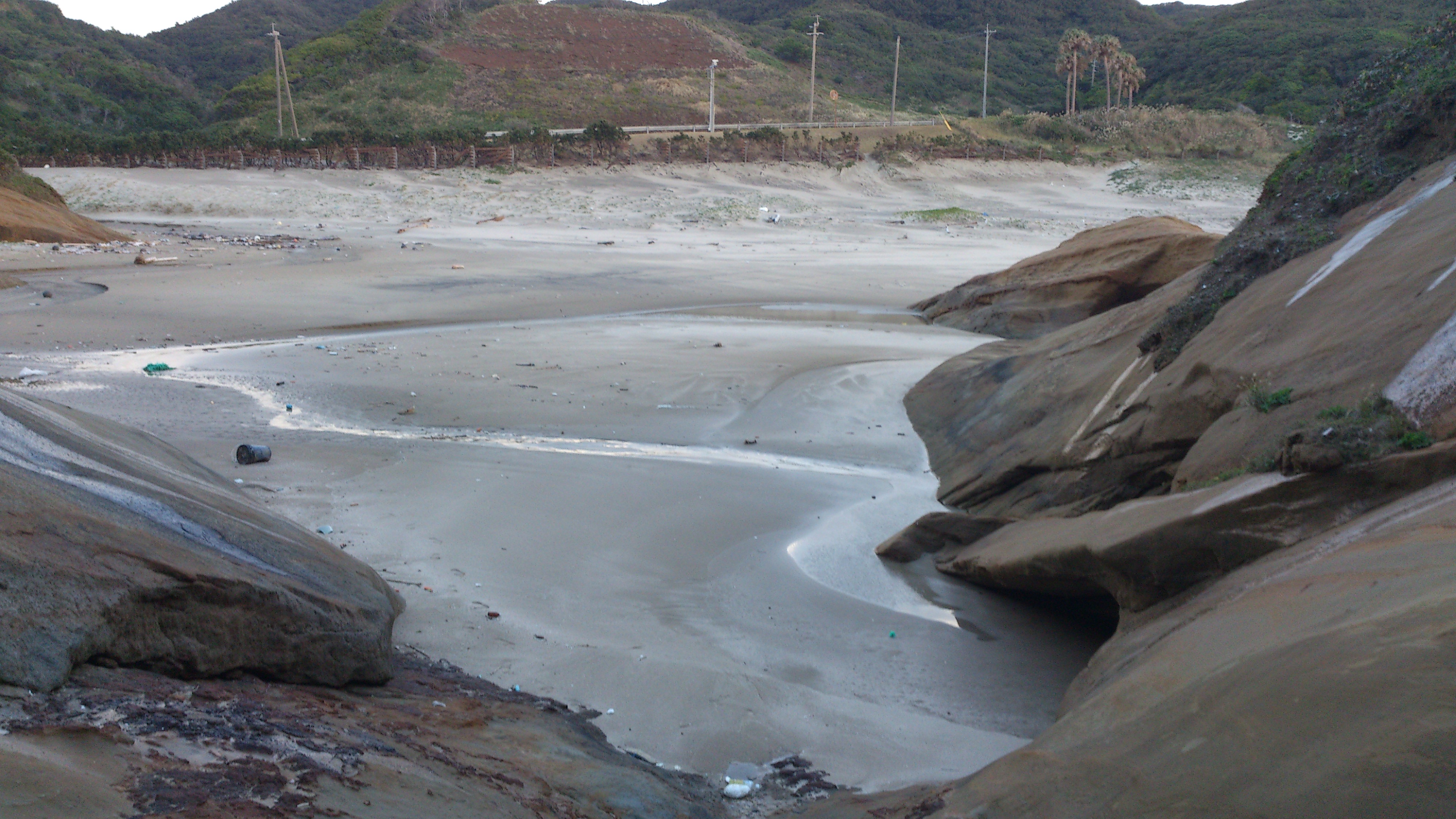 2012年12月。僕は種子島を一人で旅した：岩肌。初めてこういう岩肌を見た。