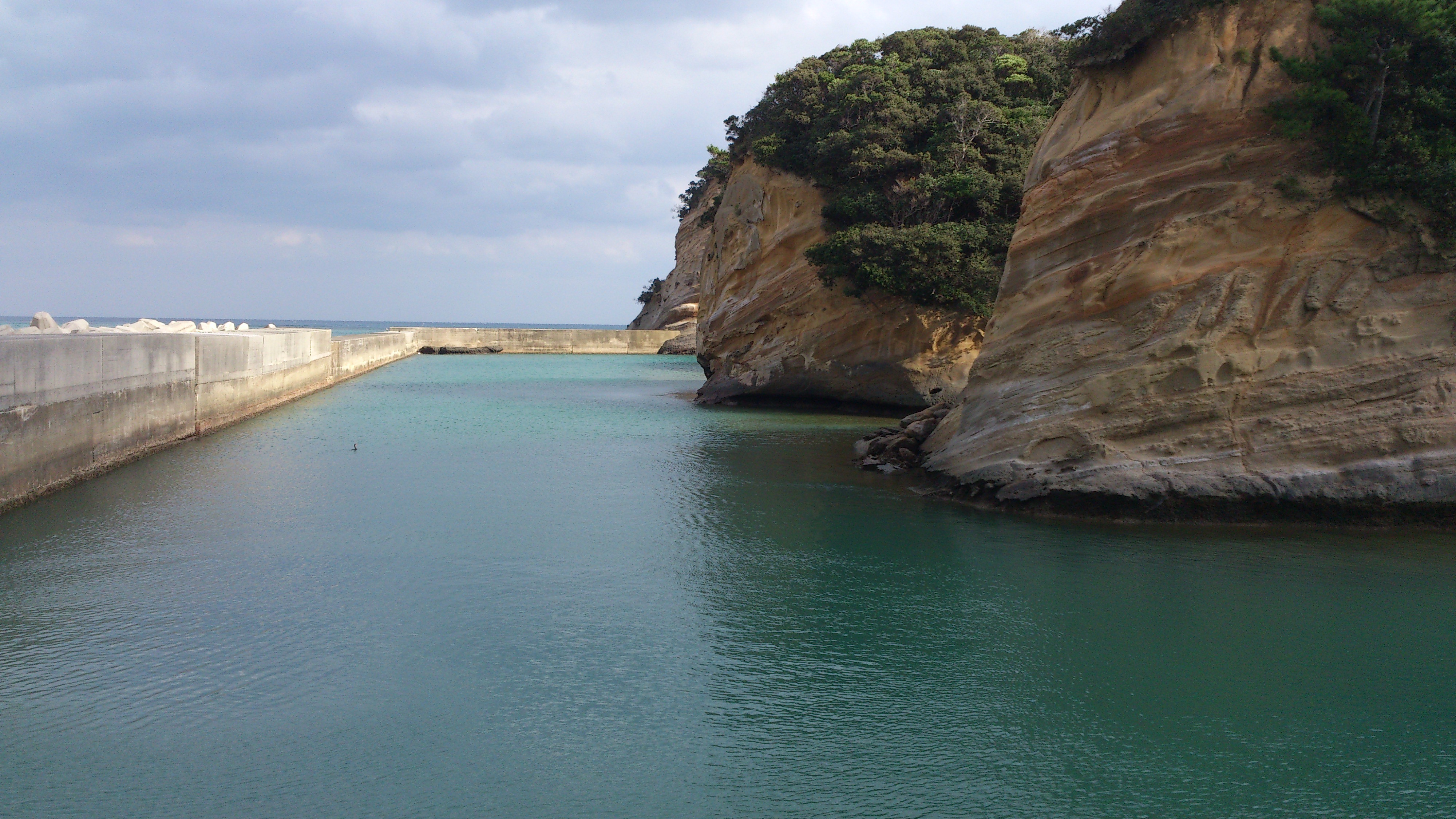 2012年12月。僕は種子島を一人で旅した：防波堤と岩肌。どこで撮ったか忘れた