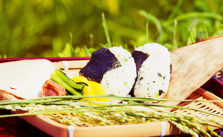 大人になっても楽しめなかった事⑤お漬物