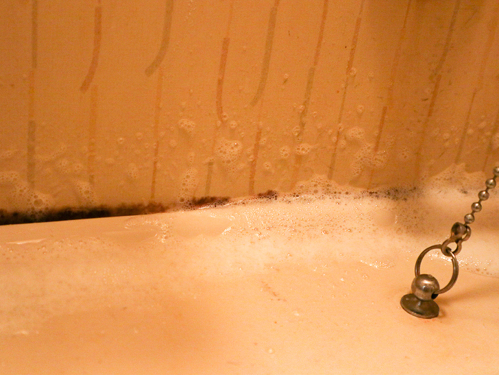 5年分の「カビ」に「カビハイター」を使ったらめっちゃ効果があった： カビハイターを吹き付けた直後