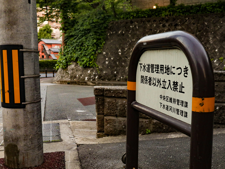 毎日が刺激的な理由①自分が好きな場所に住んでいる
